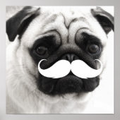Funny White Mustache Mops Poster (Vorne)