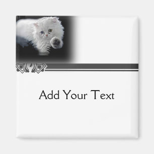 Funny White Persian Cat Magnet