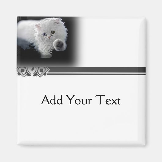 Funny White Persian Cat Magnet (Vorne)