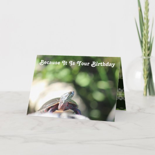 Funny Wild Alte Schildkröte Karte (Vorderseite)