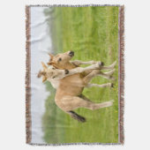 Funny Wild Konik Pferde Foals Playing Together Decke (Vorderseite Vertikal)