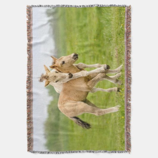 Funny Wild Konik Pferde Foals Playing Together Decke (Vorderseite Vertikal)