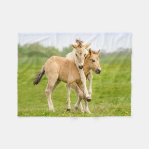 Funny Wild Konik Pferde Foals Playing Together Fleecedecke