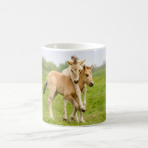 Funny Wild Konik Pferde Foals Playing Together Kaffeetasse