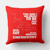 Funny will sein Wir haben Phantastische Chemie Got Kissen (Rückseite)