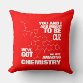 Funny will sein Wir haben Phantastische Chemie Got Kissen (Vorderseite)