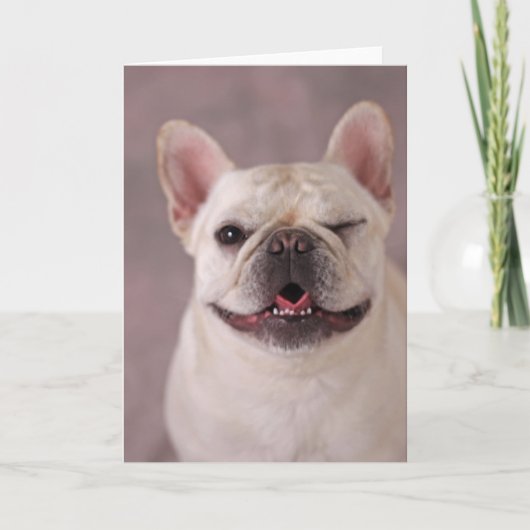 Funny winde Hund French Bulldog Karte (Vorderseite)