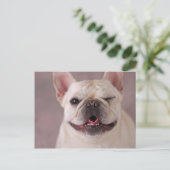 Funny winde Hund French Bulldog Postkarte (Stehend Vorderseite)
