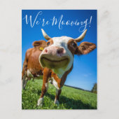 Funny, wir bewegen uns bewegende Ankündigung Kuh (Vorderseite)