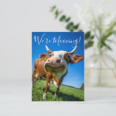 Funny, wir bewegen uns bewegende Ankündigung Kuh (Stehend Vorderseite)