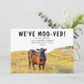 Funny, wir haben die Kuh mit Moow bewegt Annouceme Ankündigung (Stehend Vorderseite)