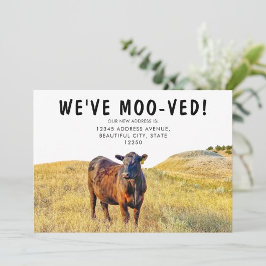 Funny, wir haben die Kuh mit Moow bewegt Annouceme Ankündigung (Stehend Vorderseite)