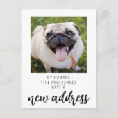 Funny wir haben neue Adresse Dog Pet Foto verschob Postkarte (Vorderseite)