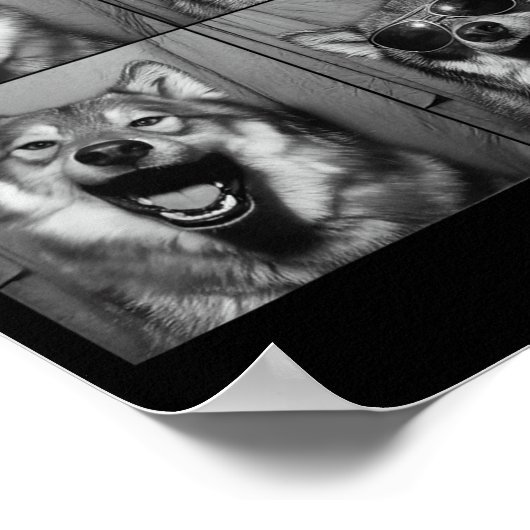 Funny Wolf Photo Booth Sungles Dog  Poster (Ecke)
