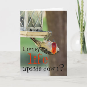 Funny Woodpecker Fotografie Typografie Life Quote Karte