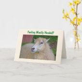 Funny Wooley Sheep wird gut Karte (Gelbe Blume)
