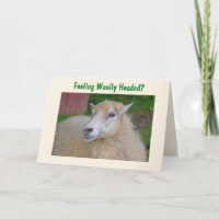 Funny Wooley Sheep wird gut