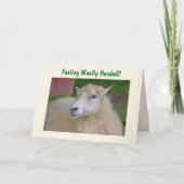 Funny Wooley Sheep wird gut Karte (Vorderseite)