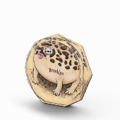 Funny Wüste Regenfrosch Cartoon Illustration Fotoblock (Rechts)