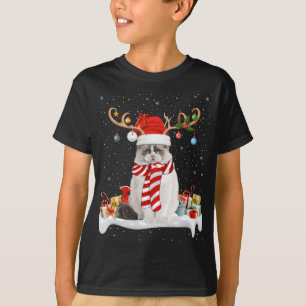 Funny Xmas Lighting Rentier Weihnachtsmannmütze Ra T-Shirt