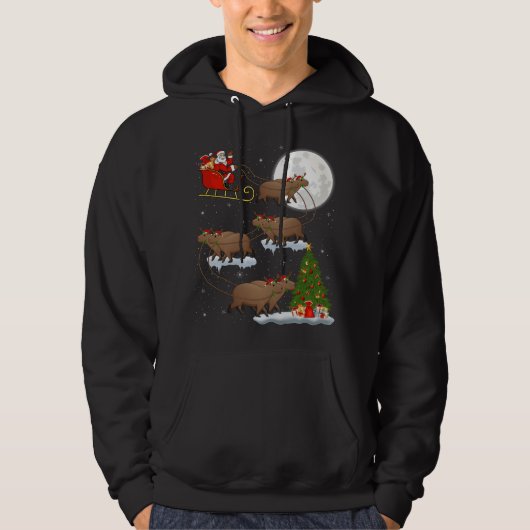 Funny Xmas Lighting Tree Sentiero in Cresta: Monte Hoodie (Vorderseite)