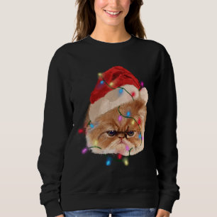 Funny Xmas Persian Cat Christmas Lights Adventure Sweatshirt