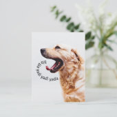 Funny Yapping Hund Postkarte (Stehend Vorderseite)