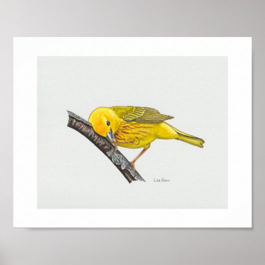 Funny Yellow Warbler Art Print Poster (Vorne)