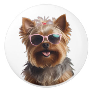 Funny Yorkshire Terrier mit Sonnenbrille Keramikknauf