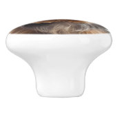 Funny Yorkshire Terrier mit Sonnenbrille Keramikknauf (Seitenansicht)