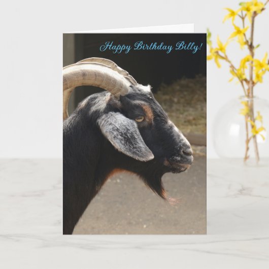 Funny "You old ziat" Happy Birthday Card Karte (Gelbe Blume)