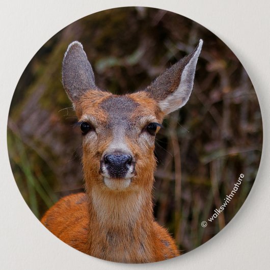 Funny Young Blacktail Deer lächelt bei Fotograf Button (Vorderseite)