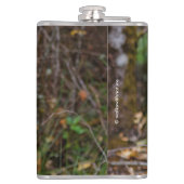 Funny Young Blacktail Deer lächelt bei Fotograf Flachmann (Rückseite)