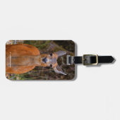 Funny Young Blacktail Deer lächelt bei Fotograf Gepäckanhänger (Vorderseite horizontal)