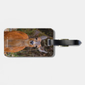 Funny Young Blacktail Deer lächelt bei Fotograf Gepäckanhänger (Rückseite horizontal)