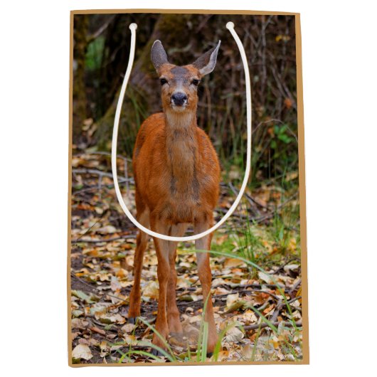 Funny Young Blacktail Deer lächelt bei Fotograf Mittlere Geschenktüte (Vorderseite)