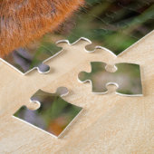 Funny Young Blacktail Deer lächelt bei Fotograf Puzzle (Seite)