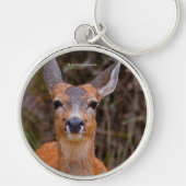 Funny Young Blacktail Deer lächelt bei Fotograf Schlüsselanhänger (Vorne)