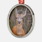 Funny Young Blacktail Deer lächelt bei Fotograf Silbernes Ornament (Links)
