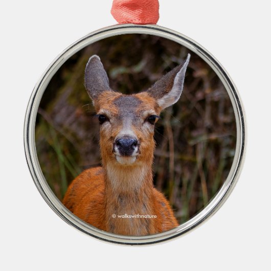 Funny Young Blacktail Deer lächelt bei Fotograf Silbernes Ornament (Vorne)