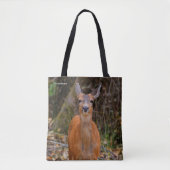 Funny Young Blacktail Deer lächelt bei Fotograf Tasche (Vorderseite)
