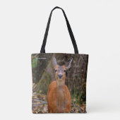 Funny Young Blacktail Deer lächelt bei Fotograf Tasche (Rückseite)