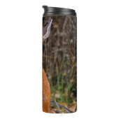 Funny Young Blacktail Deer lächelt bei Fotograf Thermosbecher (Nach rechts gedreht)