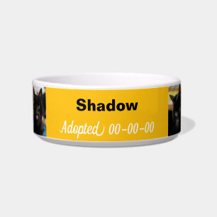 Funny Zero Fluffs gegeben Feline Fine Yellow Napf