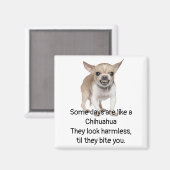 Funny Zitat über das Leben mit Chihuahua Dog Magnet (Vorderseite/Rückseite)