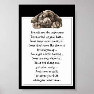 Funny Zitat über Freunde sind wie Unterwäsche Poster