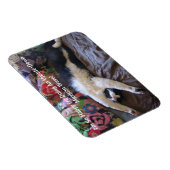 FunnyTuxedo Katze Niedlich machen ein mexikanische Magnet (Rechte Seite)