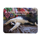 FunnyTuxedo Katze Niedlich machen ein mexikanische Magnet (Horizontal)