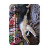 FunnyTuxedo Katze Niedlich machen ein mexikanische Magnet (Vertikal)