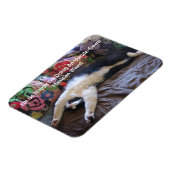 FunnyTuxedo Katze Niedlich machen ein mexikanische Magnet (Linke Seite)